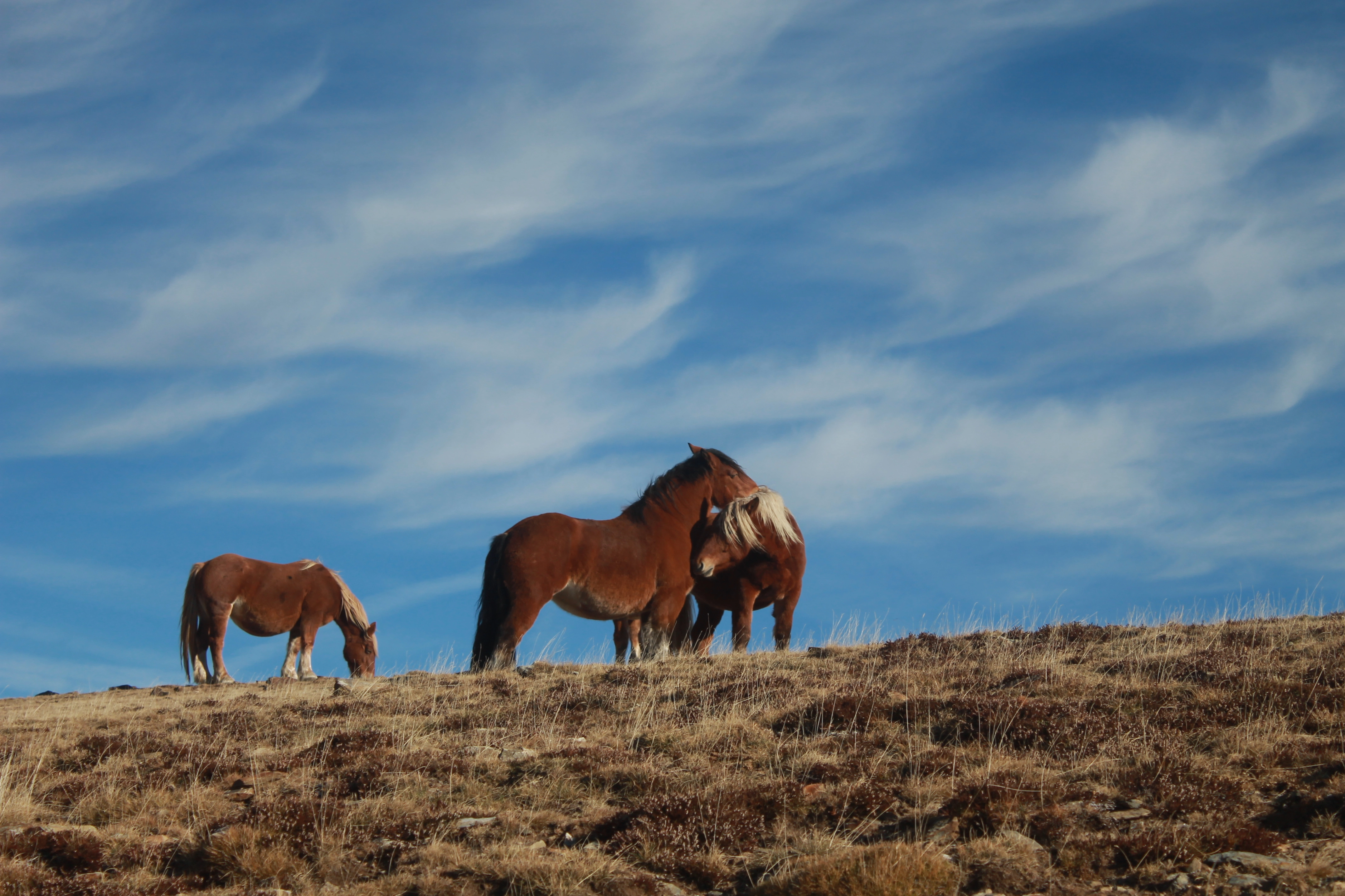 Fotografia artística de paisatge feta per Berta Palahí a Girona i Europa