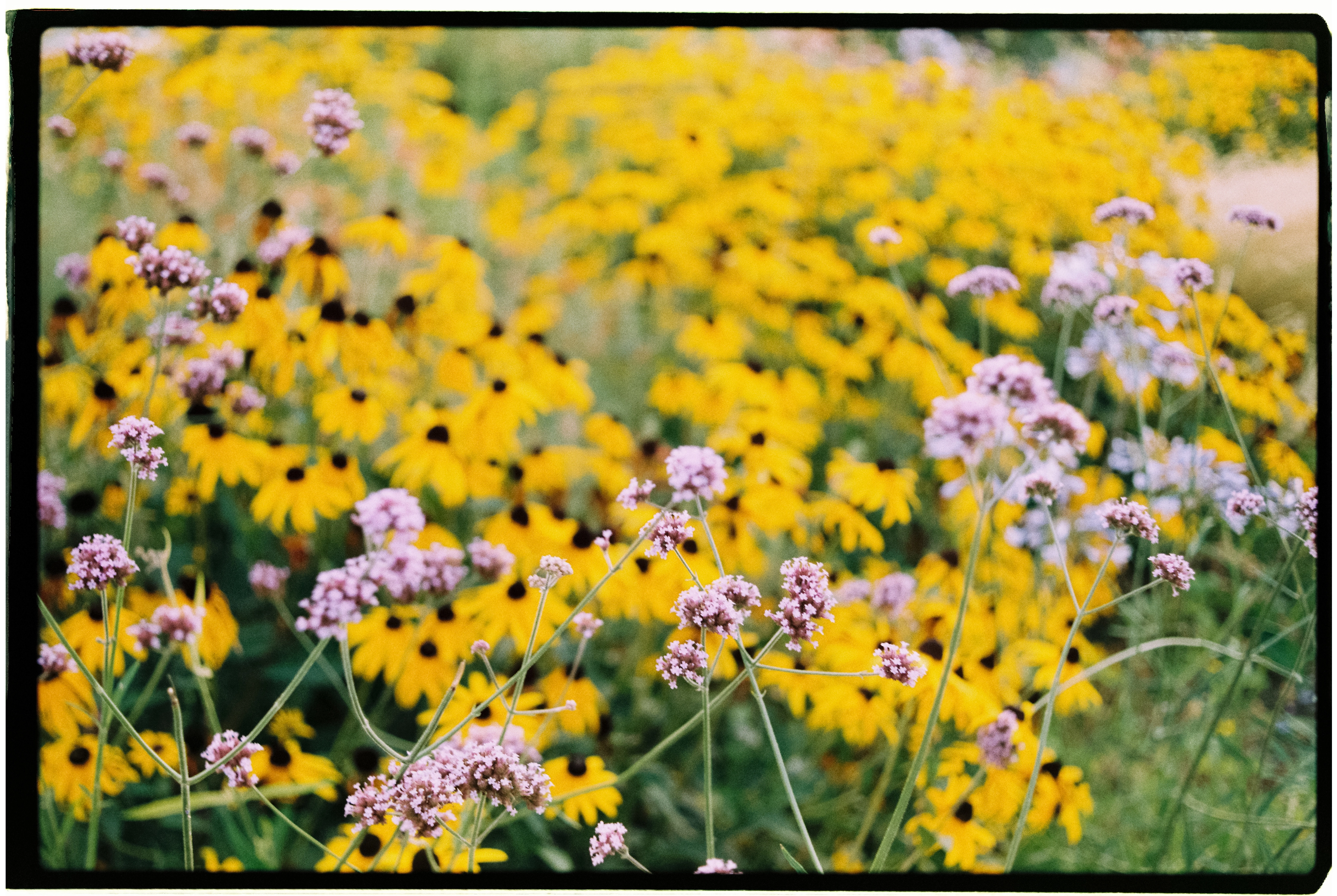 Fotografia artística de paisatge feta per Berta Palahí a Girona i Europa
